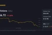 solana price: decline and potential rebound